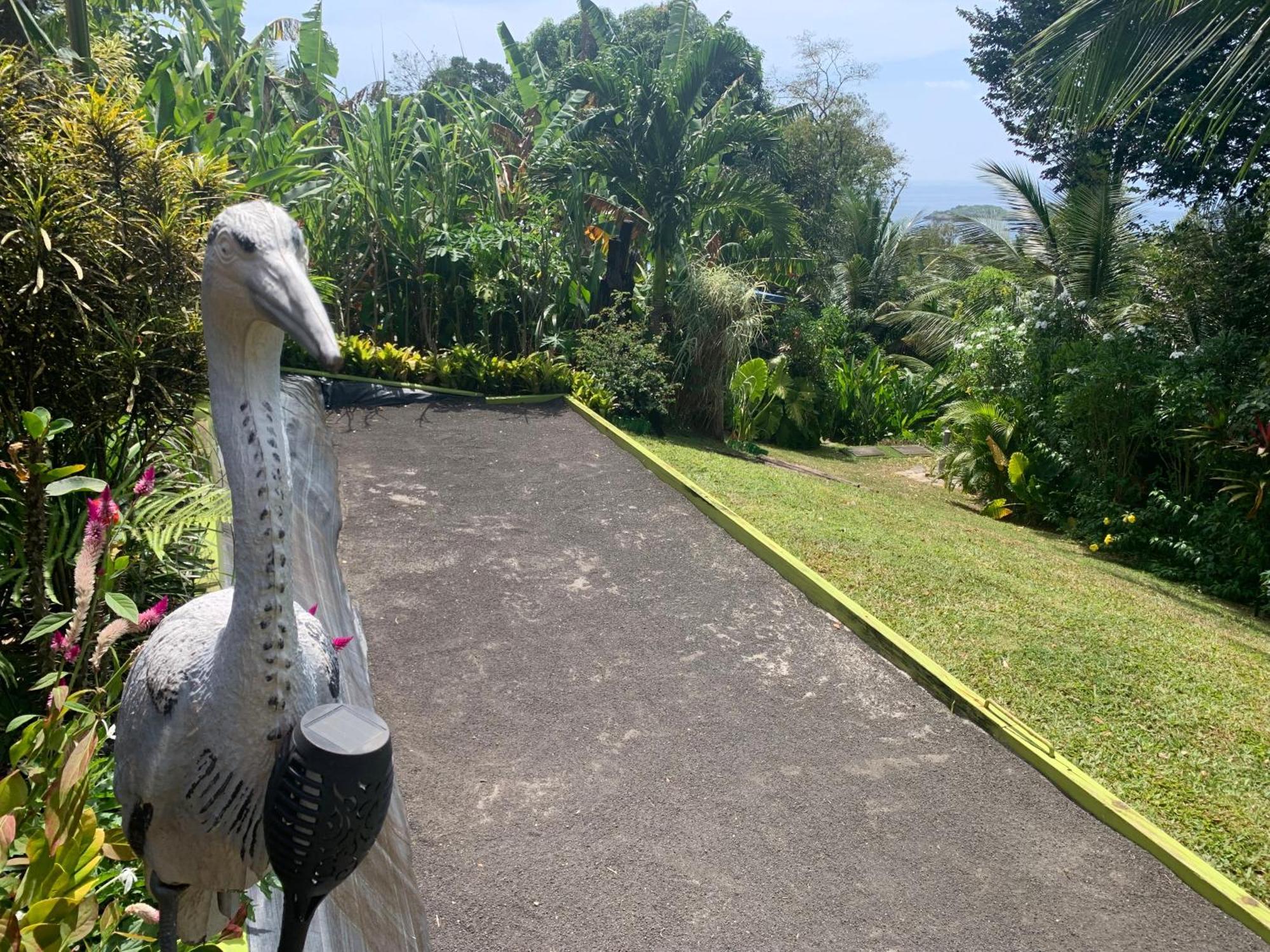 Les Ilets Caraibes Vue Mer Bouillante Extérieur photo