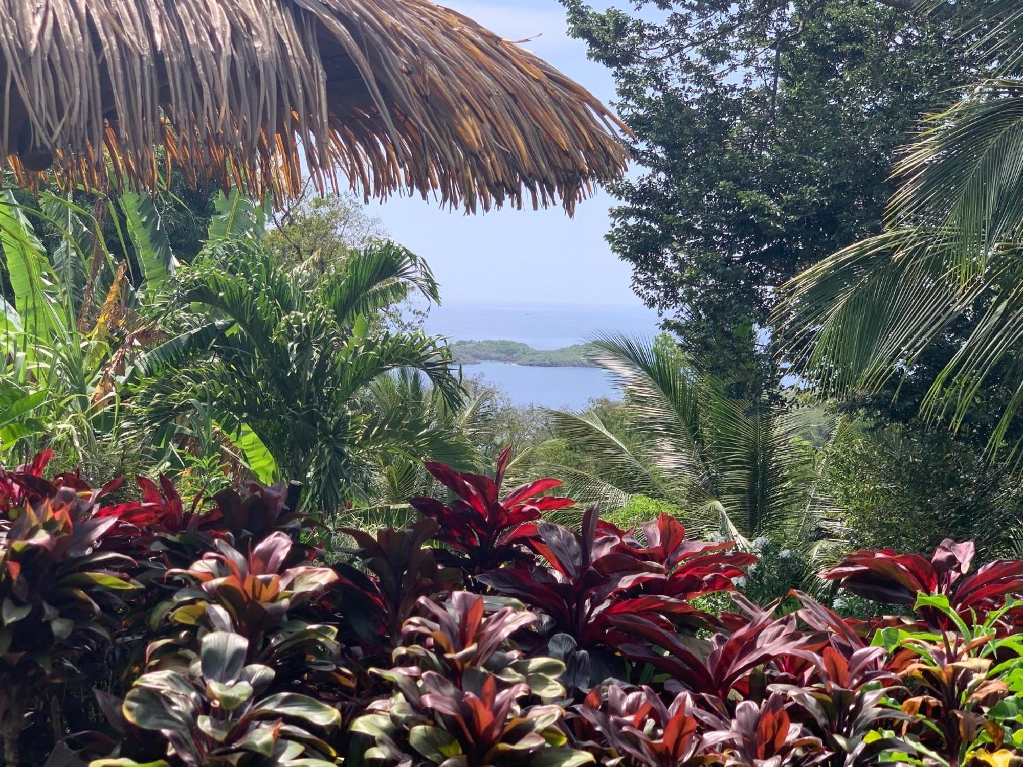 Les Ilets Caraibes Vue Mer Bouillante Extérieur photo